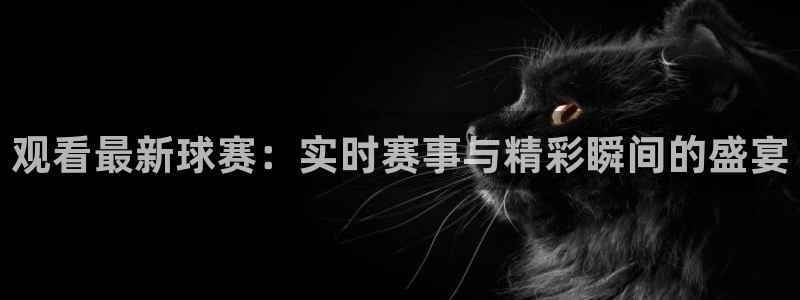 皇冠手机网页版