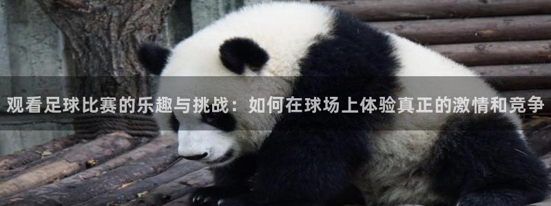 带有皇冠的游戏中心